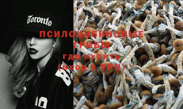 героин Абаза