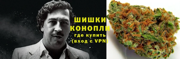 ПСИЛОЦИБИНОВЫЕ ГРИБЫ Семилуки