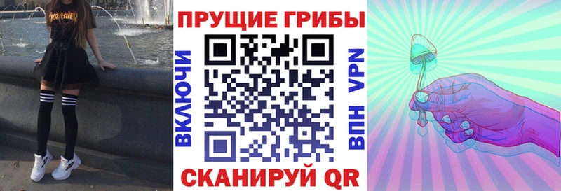 это клад  Знаменск  Галлюциногенные грибы Cubensis 