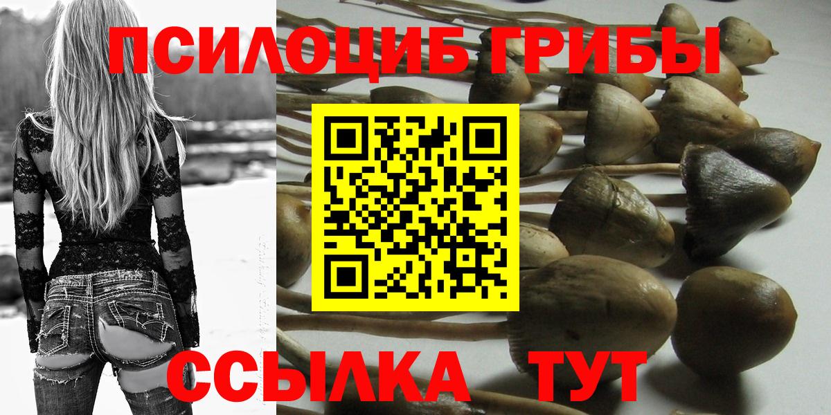 Знаменск  Псилоцибиновые грибы ЛСД  Вход с VPN 